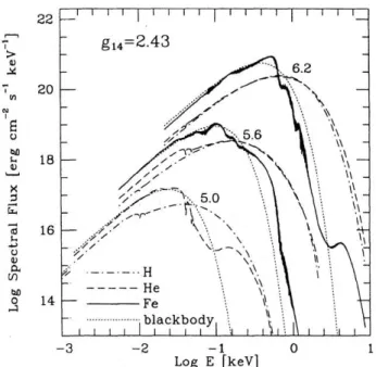 Figure 6 : Modèle d'émission du rayonnement thermique d'une étoile à neutrons calculé pour différentes  compositions de l'atmosphère de l'étoile à neutrons (Zavlin et al