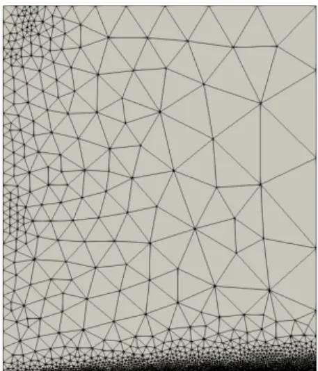 Figure 4.2 Maillages initial et final de la solution manufacturée