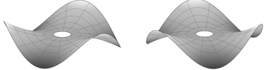 Figure 2.2 Companion modes n = 3, s = 0 for an annular plate