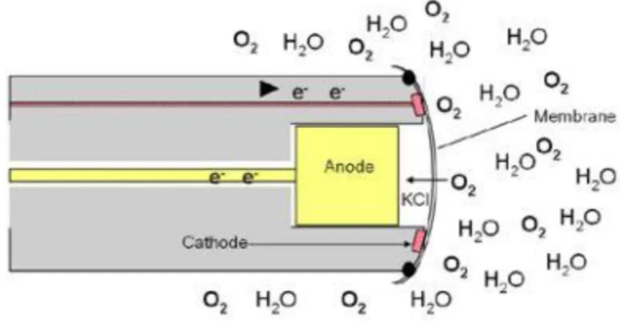 Figure 3-3 An explanation of the Clark sensor (YSI, 2009).   