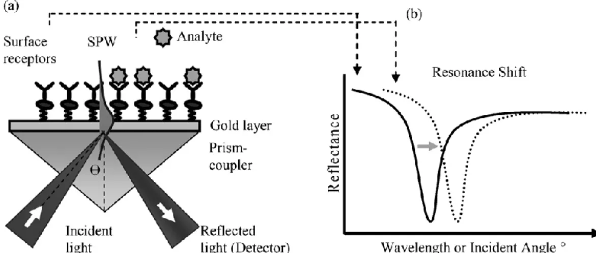 Fig 2.4: Schematic view of the working principle of SPR (a) prism-coupled configuration and (b)  resonance shift in the reflected light spectrum [51]  