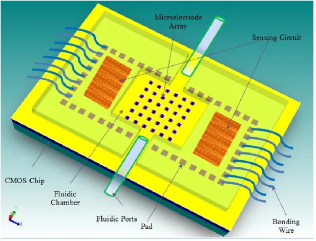 Fig 3.1: Schematic of the Lab-on-Chip system based on a CMOS technology 