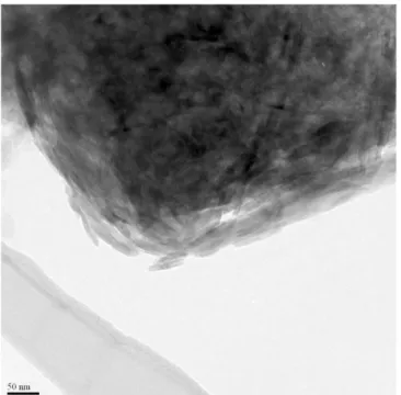 Figure  2.  Amorphous  silica-rich  phase  with  mineral  cystallization, identified in the TEM