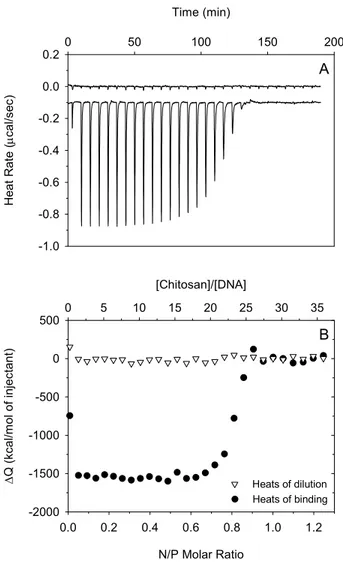 Figure 4.1.  ITC raw data (panel A) for the interaction between DNA and chitosan (80% DDA,  94 kDa) in 25 mM MES buffer at pH 6.5 with I=25 mM