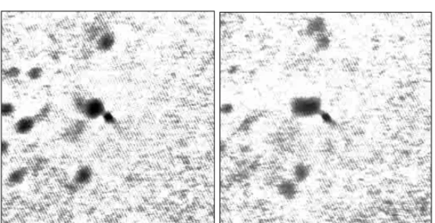 Fig. 9. C 2 w (  ) of γ Ari with ∆t = 20 msec: wind determination at two moments separated by 2 min