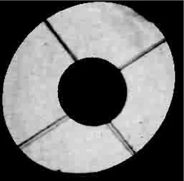 Fig. 4. Image of the pupil