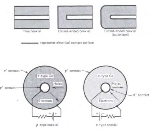 Fig. 2.6: Vue sch´ematique d’un d´etecteur germanium en configuration coaxiale, d’apr`es Knoll [2002].