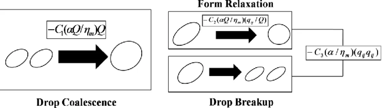 Fig.  ‎ 2.9. Illustration of different relaxation mechanisms and the corresponding rate  equations involved in the Lee and Park model (1994) 