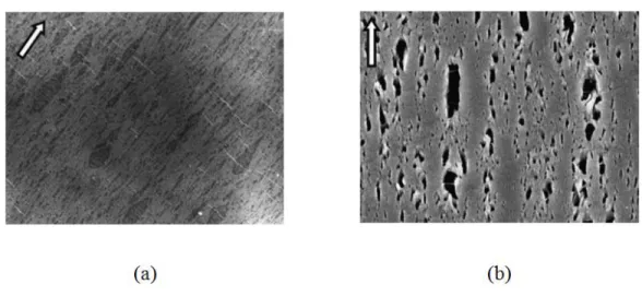 Fig.  ‎ 2.13. Micrographs of (a) unfoamed) and (b) foamed PP/PER (50/50) blends. The dark  phases represent the PER inclusions and bubbles in the unfoamed and foamed samples 