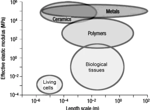 Figure 1.3  Depiction of the typical length-scales and elastic modulus values for several  materials