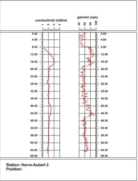 Figure 2.13: Diagraphies de conductivité EM et gamma naturel sur le puits Hav002 (Havre-  Aubert)