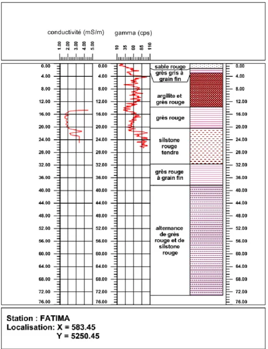 Figure 2.14 : Diagraphies de conductivité EM et gamma naturel sur le puits 13007031 (Fatima)