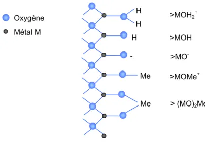 Figure 5 : Complexation de surface par adsorption de protons ou de cations métalliques