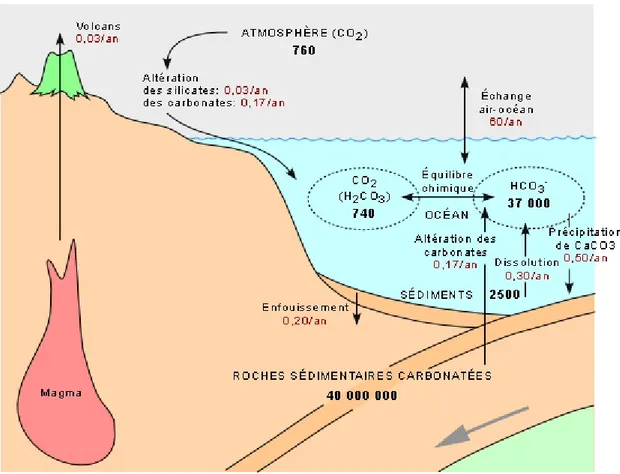 Figure 2 : Cycle du carbone inorganique. Valeurs en gigatonnes de carbone (Gt C ). Selon 