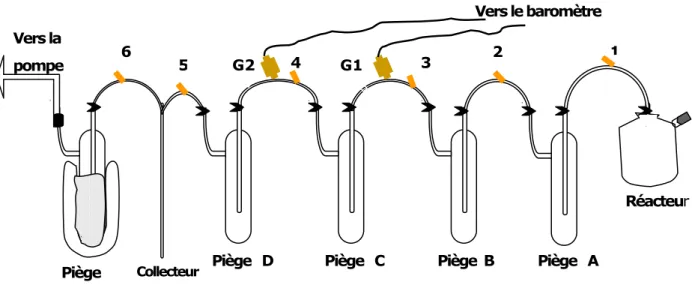 Figure 9 : Schéma de rampe d’extraction de CO 2 ¾  Protocole d’extraction du CO 2