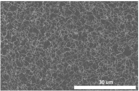 Figure   2.3: SEM image (1 keV, 7 µA) of a SWCNT network deposited on SiO 2 . 