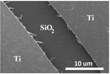 Figure   2.7: SEM image (1 keV, 7 µA) of SWCNT array electrodes after 4 mins-long sonication