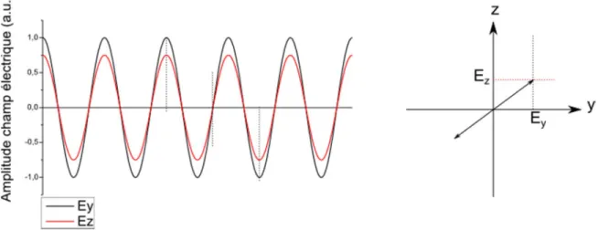 Figure 2-2 : Visualisation de l'état de polarisation linéaire