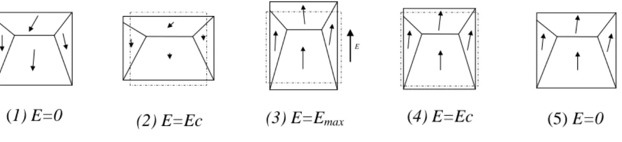 Figure 1.9 - Rotation des domaines sous l’action d’un champ de forte valeur [SAS] 