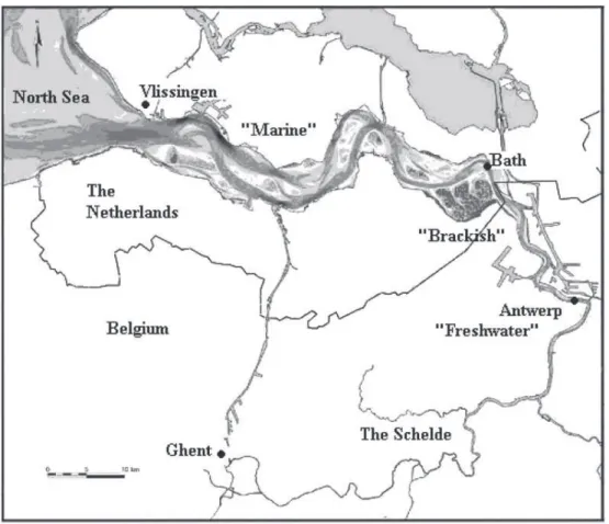 Fig. 1. Map of the Schelde estuary indicating the main salinity zones and the sampling stations