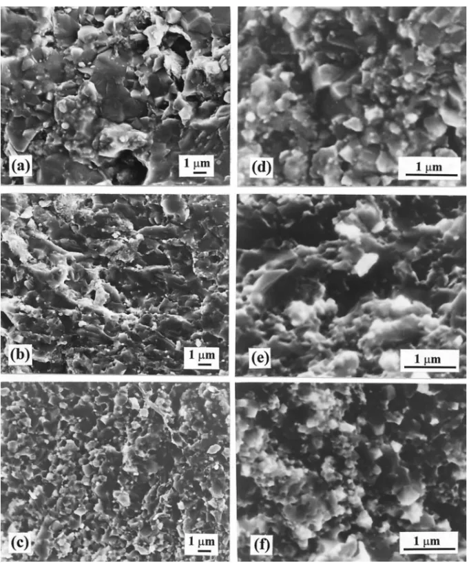 Fig. 4. SEM images of fracture surfaces of (a) BM0, (b) BM5, (c) BM30, (d) A0, (e) A5, and (f) A30.