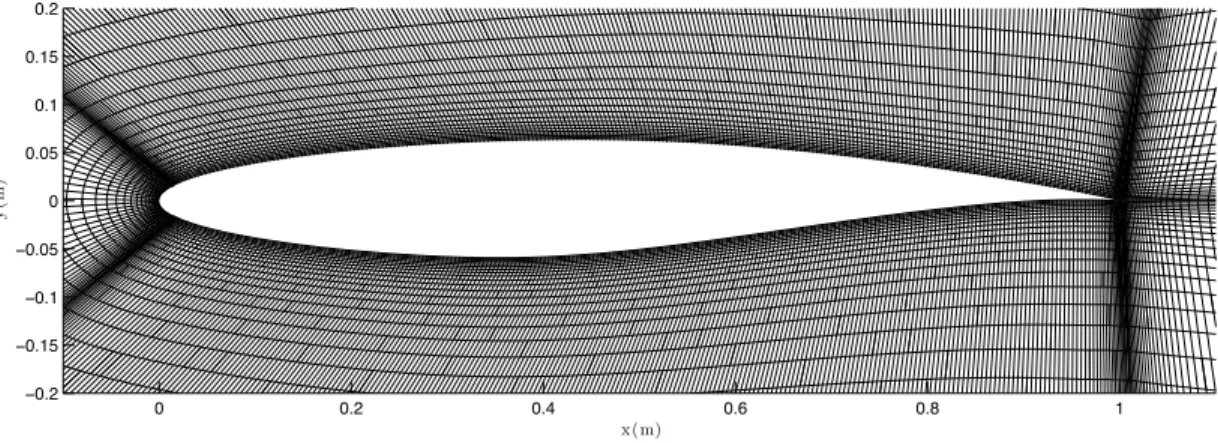 Figure 1.3 Zoom on airfoil