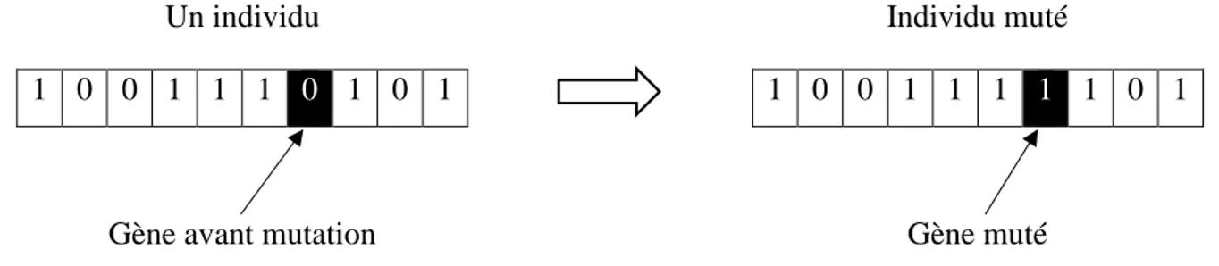 Figure 2.5 Représentation de la mutation dans l'algorithme génétique 