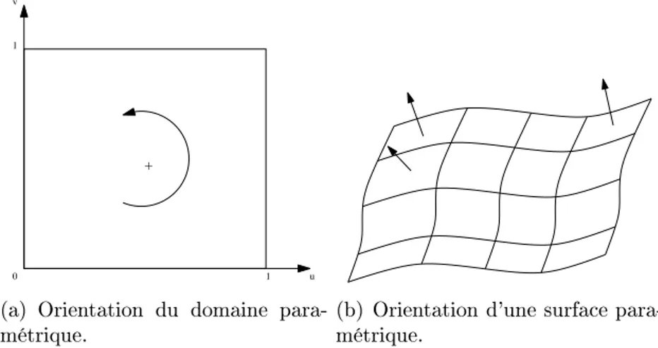 Figure 1.3: Orientation du domaine paramétrique et orientation résultante de la surface.