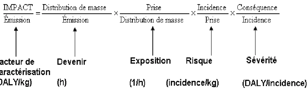 Figure  2.3  Chaîne  de  cause  à  effet  pour  la  détermination  du  facteur  de  caractérisation  pour  la  catégorie d‘impact « toxicité humaine »