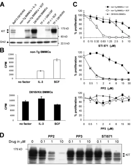 Figure 3. Growth factor–independent Kit phosphorylation and  proliferation of BMMCs from transgenic mice