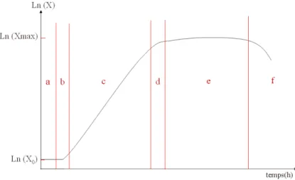 Fig. 1.3 – Courbe de croissance caractéristique