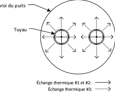 Figure 1-1 : Représentation des échanges thermiques à l'intérieur d'un puits géothermique à deux  tuyaux 