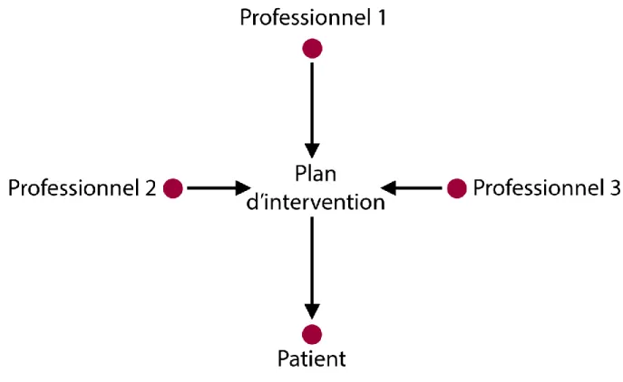 Figure 3.2 : Schématisation du paternalisme en distribution de soins de santé 