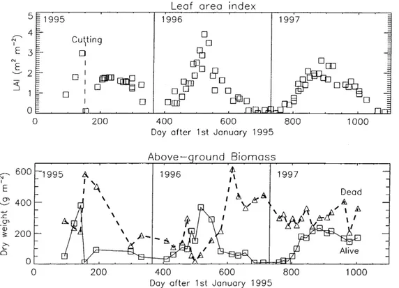 Fig. 6. The green leaf area index and above-ground green biomass (boxes) and necromass (thick dashed line and triangles) measured over the MUREX fallow in 1995, 1996, and 1997