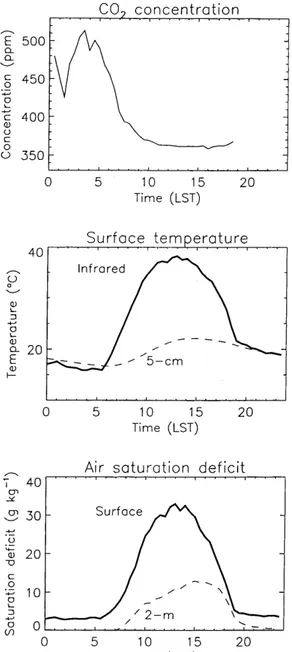 Fig. 7. Measurements characterising the bioclimatological function- function-ing of the MUREX fallow on DoY 247 in 1997