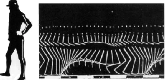 Figure 2.5: Matérialisation des segments corporels par des lignes blanches sur habit noir d’après  Marey (1884) 