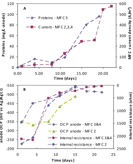 Figure 4-3: (A) Measurements of time-related evolution of protein concentration at the anode and  current density; (B) anode OCP and R int  measurements