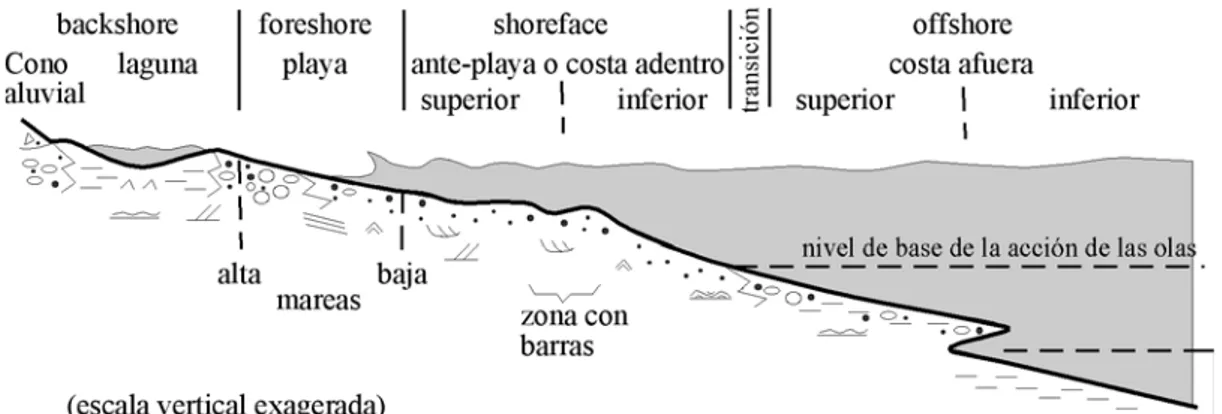 Figure 2.2.-  Coupe perpendiculaire à la côte avec les différents domaines de la 