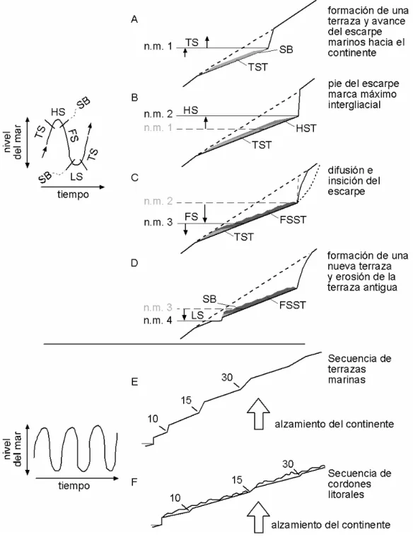 Fig. 4. Esquemas de elaboración de terrazas marinas y su relación con el ciclo glacial e interglacial