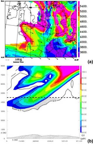 Fig. 4. 10 February 2002 at 12:00 UTC: (a) Colorscale (in m): Altitude of the points the iso-