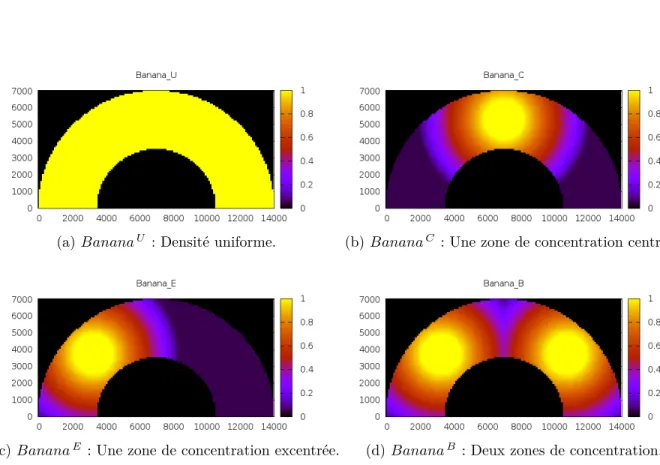 Figure 6.4 Cartes de densité pour terrain en forme de banane.