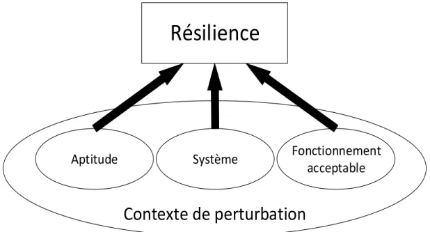 Figure 1-1 La notion de résilience 