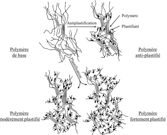 Figure 1-7 : Plastification d'un polymère, illustration de la plastification comparée avec  l'antiplastification (Sears &amp; Darby, 1982) 