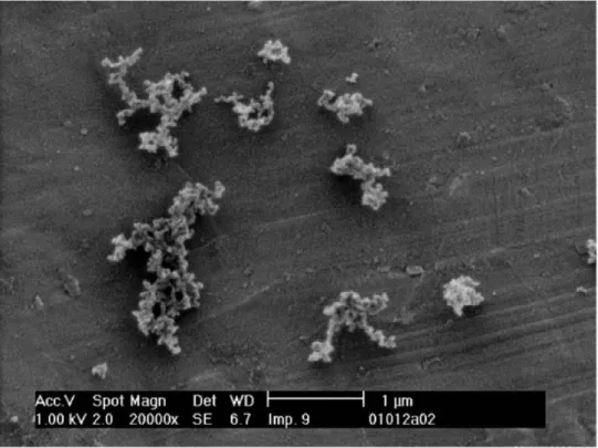 Figure 2.4 Particules de suie (Van Gulijk et al., 2004).