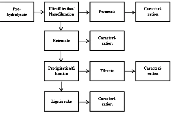 Figure 14: Schematic diagram of the lignin extraction and the sugar recovery steps from the pre- pre-hydrolysate