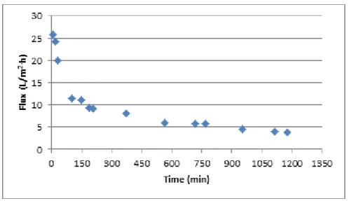 Figure 16: Permeate flux as a function of time for the 10 kDa membrane (CF=5). 