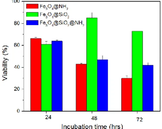 Figure 4-9 : Cellular viability as a function of duration, at a NP concentration of 200 µg/mL