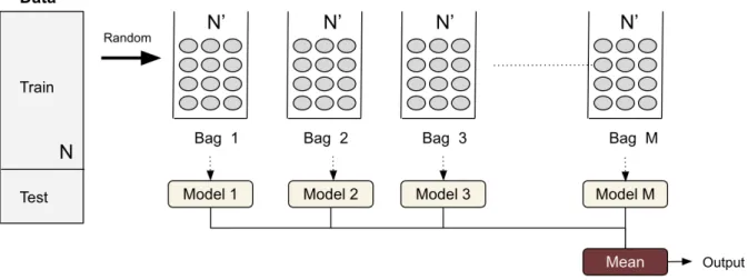 Figure 2.1 Demonstration of the Bagging algorithm