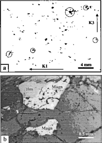 Figure  5.  a)  thin  section showing the  distribution of  magnetites in  syenite MG  91;  clusters where  magnetic 