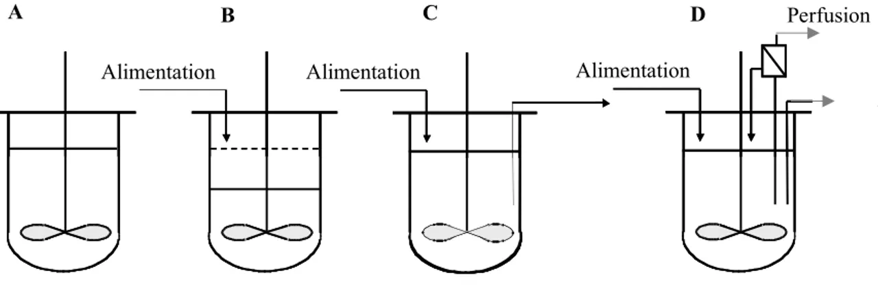 Figure 2.5: Représentation schématique des différents modes de culture : (A) cuvée, (B) cuvée- cuvée-alimentée, (C) chémostat et (D) perfusion (M